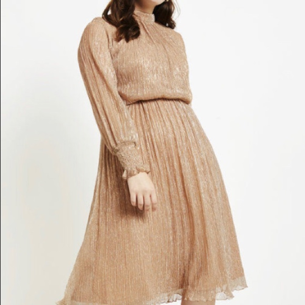 Sparkly long sleeve ankle length dress